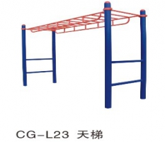 玉林市健身器材天梯CG-L23